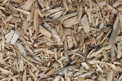 biomass boilers Coytrahen
